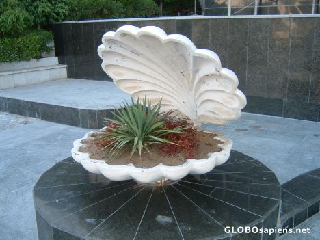Postcard Flower and shell