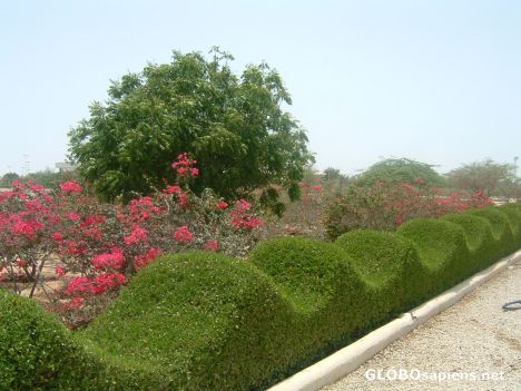 Postcard Garden near harbour