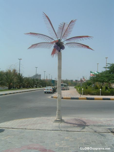 Postcard Red light palm tree