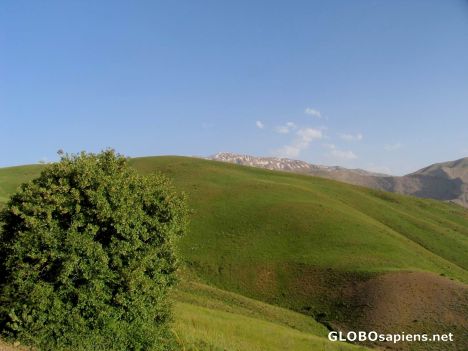 Postcard green hills