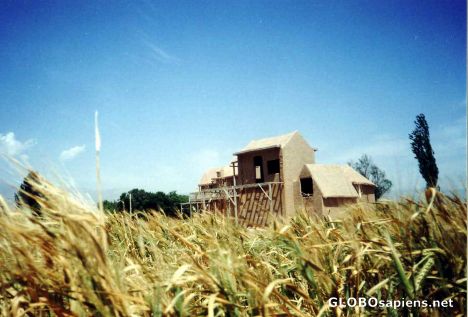 Postcard Golden farm