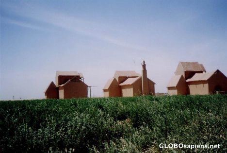 Postcard farms(2)