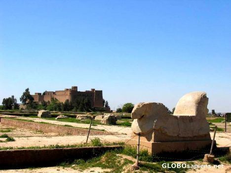 Postcard apadana,remaind from 2500 years ago