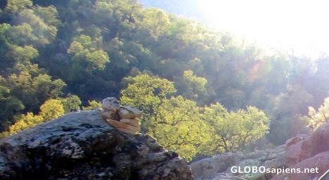 Postcard sunlight over shimbar jungles,near shush