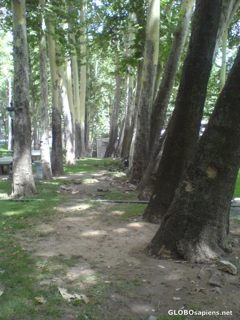 Postcard sa'ad abad