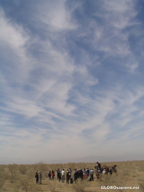 Postcard desert's sky