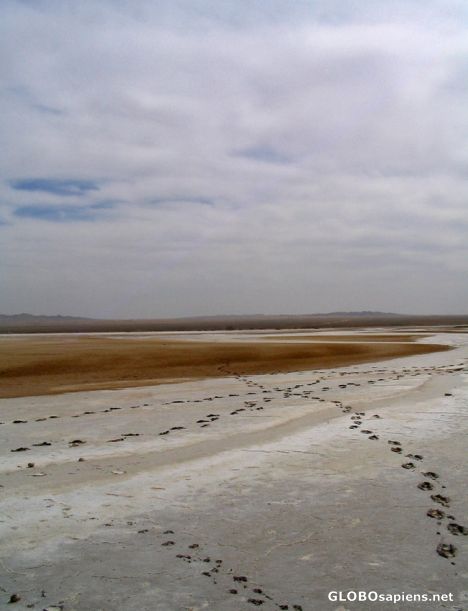 Postcard salt lake