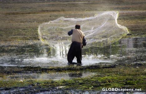 Postcard fishing in Esfahan