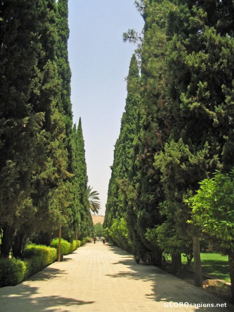 Postcard Eram garden2