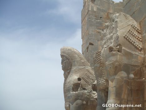 Postcard Persepolis