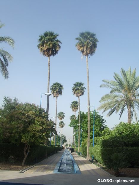 Postcard Delgosha Garden