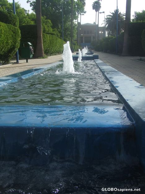 Postcard DELGOSHA garden