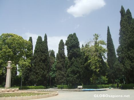 Postcard Melli Garden1