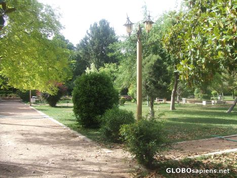 Postcard Eram garden in Shiraz
