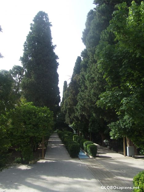 Postcard Eram garden