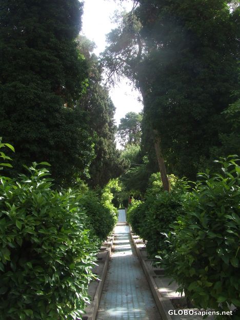 Postcard Eram Garden