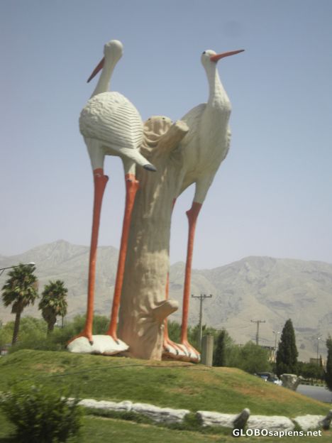 Postcard Huge Birds
