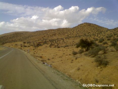 Postcard Road of Hood