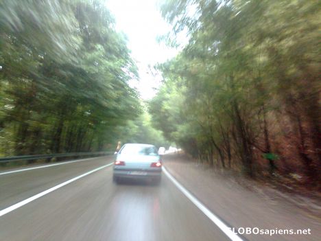 Postcard Golestan Park