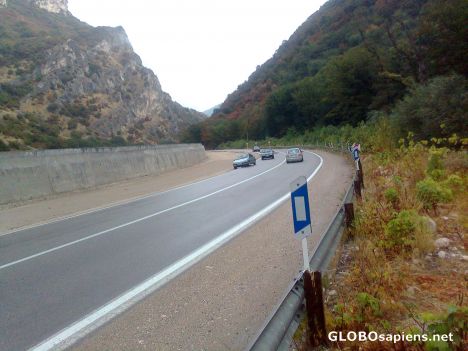 Golestan Jungle