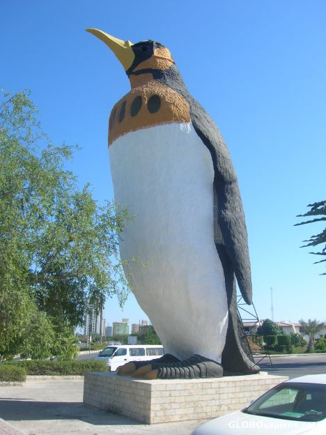 Postcard Penguin in Kish