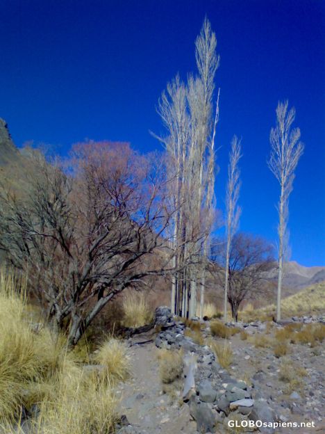 Postcard Blue Sky