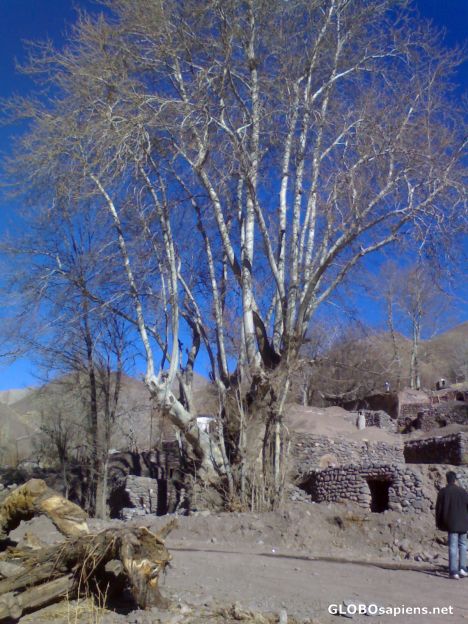 Postcard Countryside of Kerman