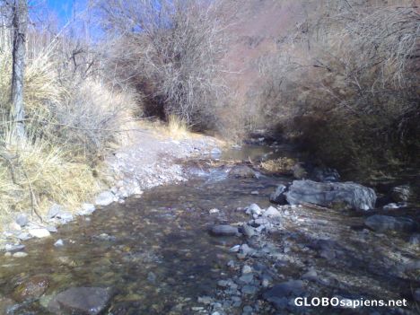 Postcard Rivulet