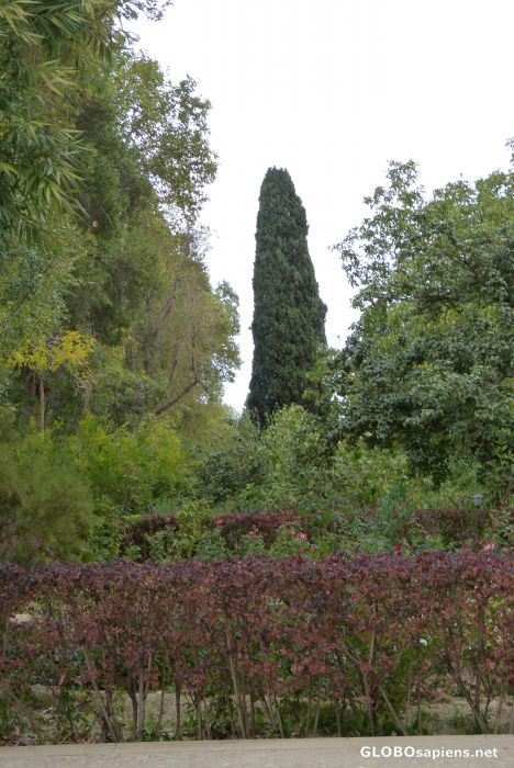 Postcard Bagh-e Shahzde, Mahan, Iran