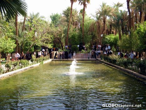 Postcard golshan garden-11