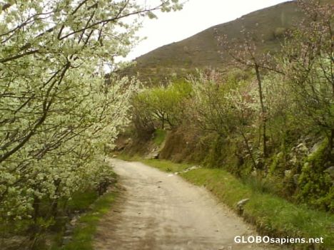 Postcard beautiful road