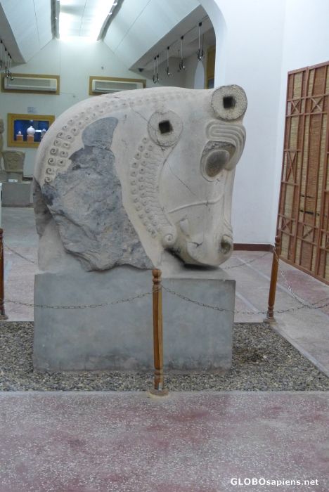 Shush (Susa) Museum, Bullhead