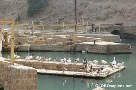 Postcard The Watermills of Shushtar, 2