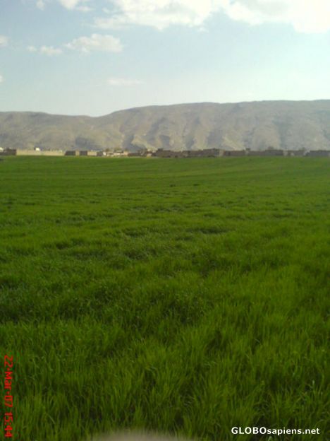 Postcard kohdasht