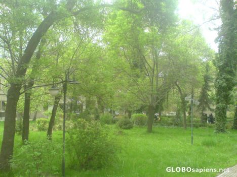 Postcard lorestan