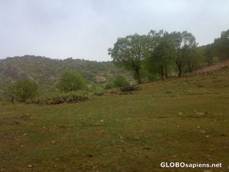 Postcard lorestan