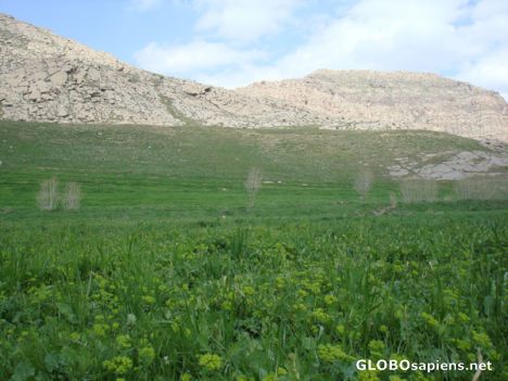 Postcard lorestan