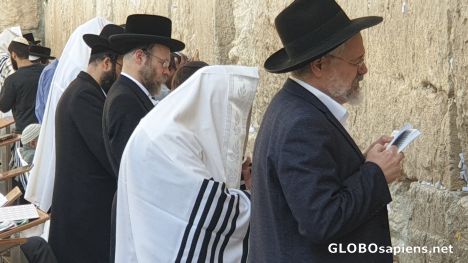 Postcard Pray at Western Wall