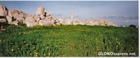 Postcard Selinunte 4