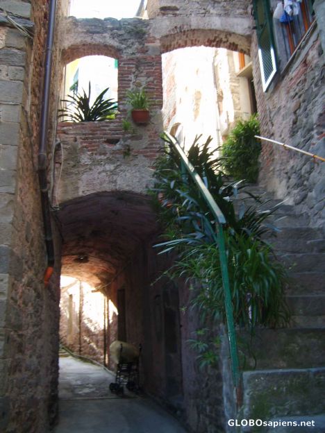 Postcard Corniglia Italy