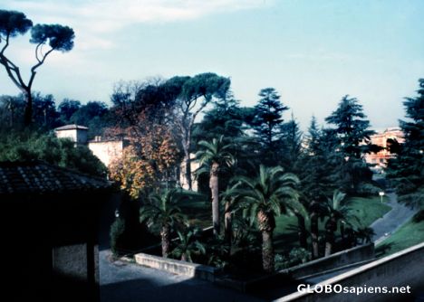 Postcard Vatican Garden
