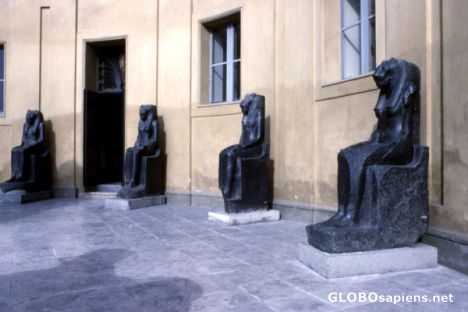 Postcard Vatican Museum Egyptian Collection