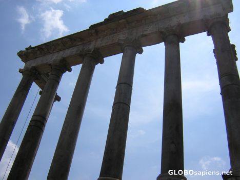 Postcard Il Foro Romano