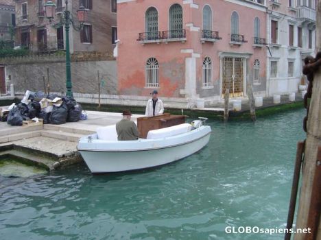 Postcard venice move