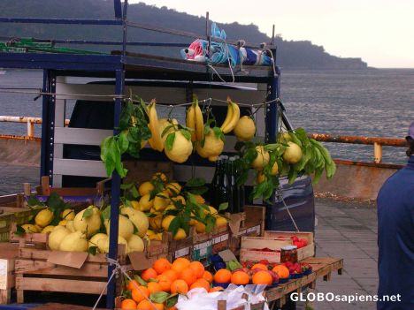 Postcard Sorrento Lemons (Huge)