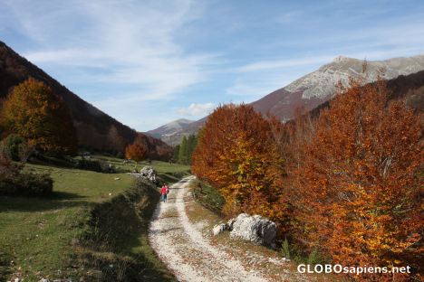 Postcard Abruzzo National Park, Val Fondillo