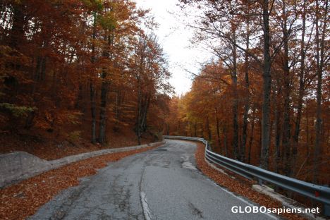 Postcard the scenic road in the outskirts of Scanno
