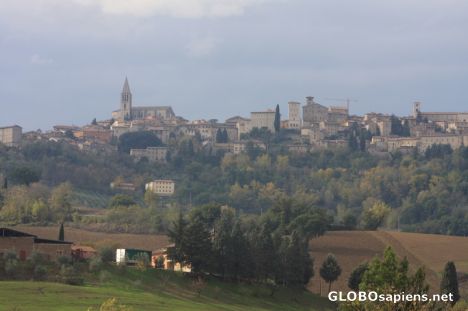 Todi