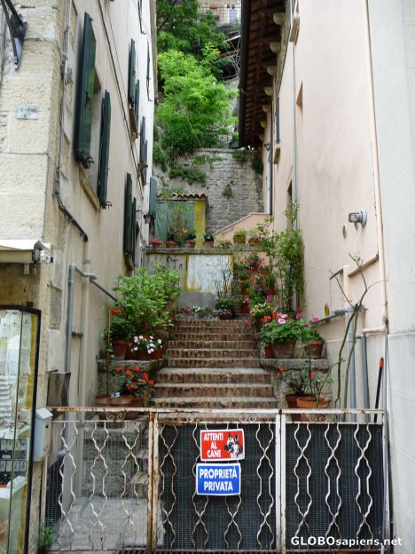 Postcard Privacy -