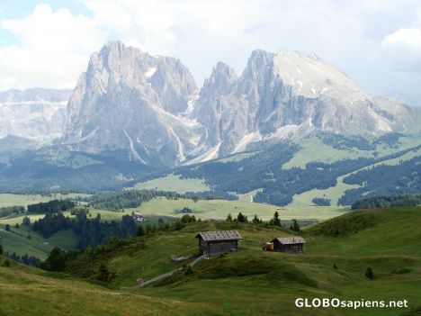 Postcard Farm and mountains